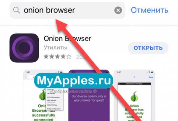 Onion версия сайта